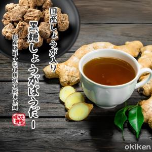 黒糖しょうがパウダー 160g×1袋 国産 生...の詳細画像1