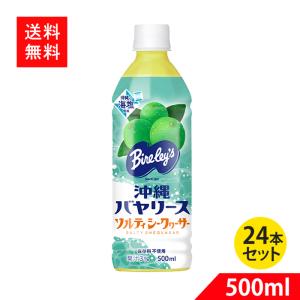 沖縄 シークワーサー 100% 500ml 12本セット賞味期限26.08.24 沖縄いちば / 沖縄県産100%シークヮーサー(500ml)12本セット