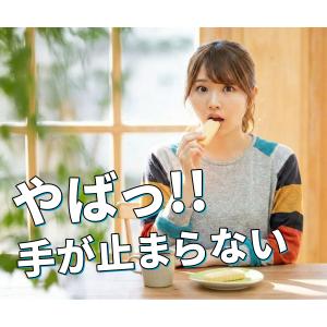 雪塩ちんすこう 48個入×5箱セット 送料無料の詳細画像1