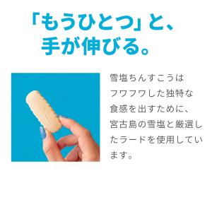 雪塩ちんすこう 48個入×5箱セット 送料無料の詳細画像4