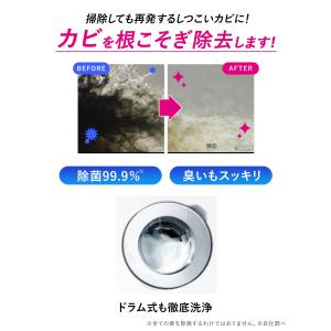 洗濯槽クリーナー 洗濯槽のカビ丸洗浄 滅カビ ...の詳細画像2