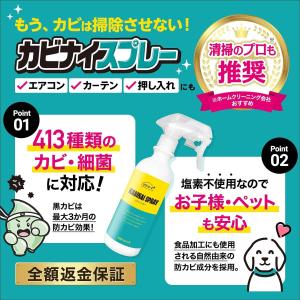 カビ防止スプレー カビナイスプレー 300ml...の詳細画像1