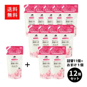 ナノソルCC レフィル 1000ml 詰め替え用 除菌・抗菌・除ウイルス・抗