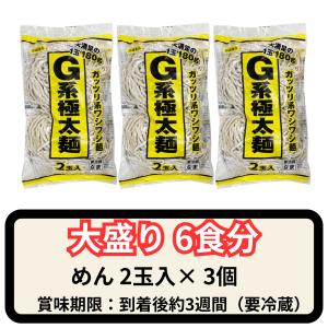G系極太麺 6食分(360g×3袋)※めんのみの詳細画像1