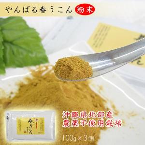 優美】上品な梅（うめ）4寸 彫解櫛 つげ櫛 高級国産 さつまつげ使用