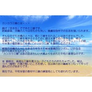自由研究 応援セット♪ カンカラ三線手作りキットの詳細画像4