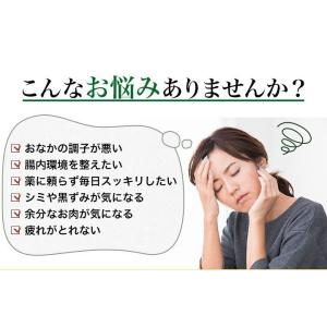 アロエベラジュース 国産 2L 3本 沖縄県産...の詳細画像1