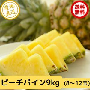 沖縄県産 ピーチパイン 9kg 8〜12玉 送料無料 石垣産 沖縄 パイナップル ピーチパイナップル 国産 果物 フルーツ 今が旬 期間限定 桃の香り｜沖縄県産飲料専門店 沖縄アロエ