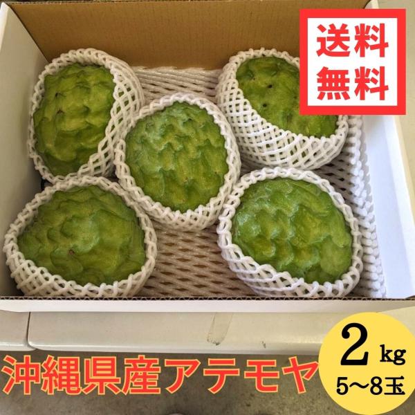 沖縄県産 アテモヤ 2ｋｇ 5〜10玉入り 送料無料 白箱 沖縄 アテモヤ 高級フルーツ 森のアイス...