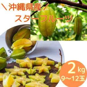 スターフルーツ  沖縄県産 スターフルーツ 2kg 9〜12玉