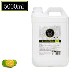 シークヮーサープレミアム除菌スプレー 5000ml 除菌スプレー 詰め替え 手指の消毒 アルコール 大容量 ヒアルロン酸 アイスミント 良い香り｜okinawaaroe