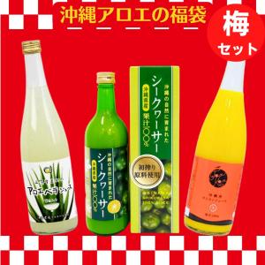 Cocalero VIDA(コカレロ・ヴィーダ) 700ml リキュール 22% 南米原産