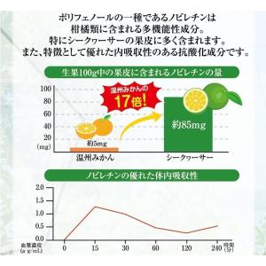 シークヮーサー シークワーサー 原液 1L3本...の詳細画像3