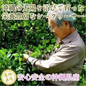 シークヮーサー シークワーサー 原液 1L3本...の詳細画像1