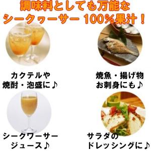 シークヮーサー シークワーサー 原液 1L3本...の詳細画像5