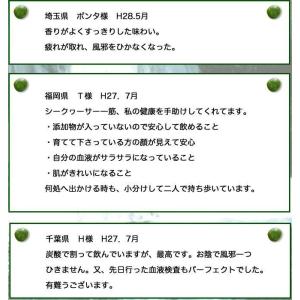 シークヮーサージュース 1L シークワーサー ...の詳細画像4
