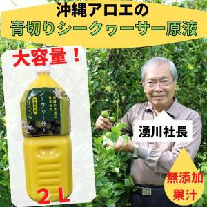 シークワーサー シークヮーサー2Ｌ 果汁100％ シークワーサー原液 沖縄県産 青切りシークワーサー シークアーサー 無添加 業務用 ジュース｜okinawaaroe