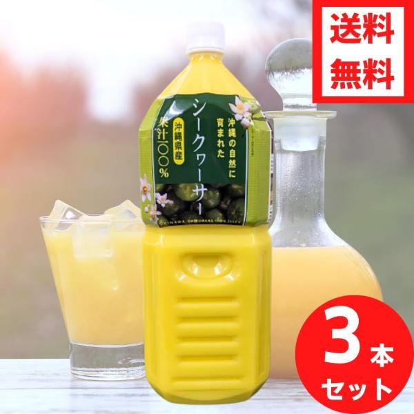 シークワーサー 沖縄県産シークヮーサー 2Ｌ 3本セット 送料無料 青切り 果汁100％ 無添加 シ...