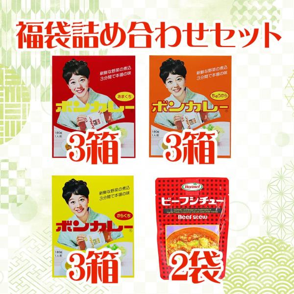 福袋詰め合わせセット5 沖縄限定ボンカレー3種各3個 ホーメルビーフシチュー2個 計11個