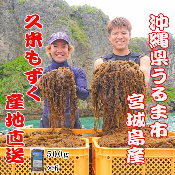 もずく 漁師直送 久米もずく500g 6袋 セット うるま市 宮城島
