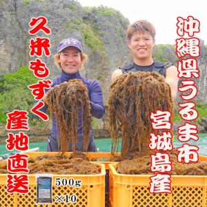 もずく 漁師直送 久米もずく500g 10袋 セット うるま市 宮城島｜okinawacompass