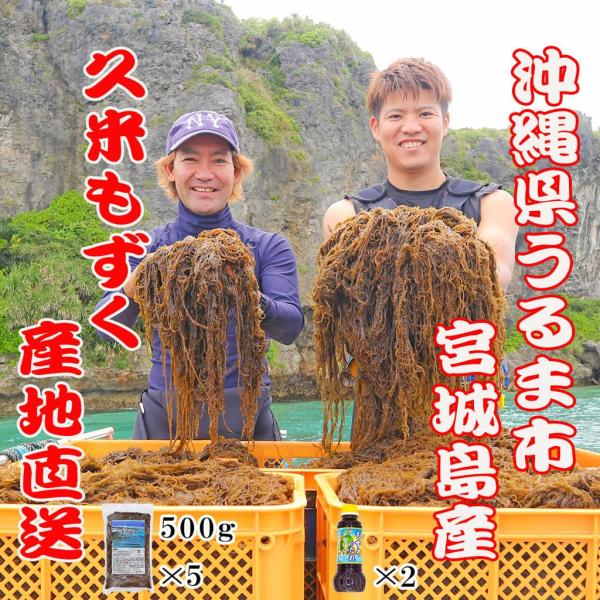 もずく 漁師直送 久米もずく500g 5袋 もずくのたれ 2本 セット うるま市 宮城島