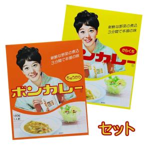 ボンカレー　中辛&辛口2種セット　大塚食品｜okinawacompass