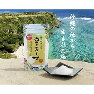 沖縄の海塩 ぬちまーす ( 250g )/ 塩 海塩 保存料不使用 ) : 爽快