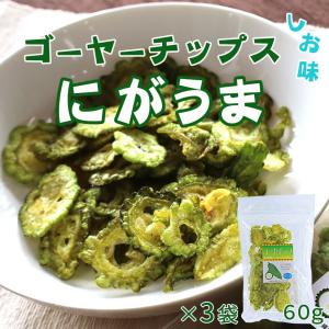 ゴーヤチップス しお味 60g 3袋セット｜okinawacompass