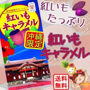 沖縄限定 紅芋キャラメル 48粒