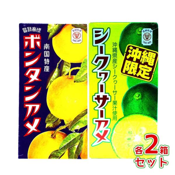 南国特産 ボンタンアメ 沖縄限定 シークヮーサーアメ シークワーサー 各2箱セット