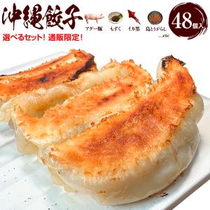 餃子 沖縄 アグー豚 もずく にんにく ゴーヤー イカスミ 島とうがらし 取り寄せ 琉みんみん 48個入 4パックセット 冷凍餃子 点心｜元祖沖縄餃子 琉みんみん