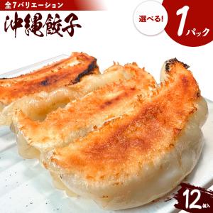 元祖沖縄餃子 琉みんみん - Yahoo!ショッピング