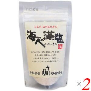 塩二郎 100g 黒 細粒タイプ 完全天日塩 坂上＆指原のつぶれない店 : BR