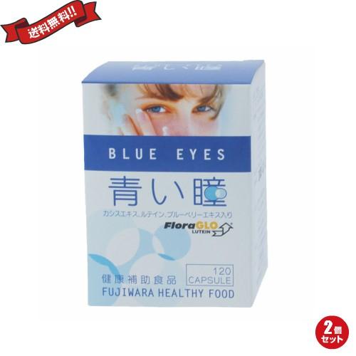 ルテイン サプリ ビルベリー フジワラ 青い瞳 BLUE EYES 120粒 ２個セット 送料無料