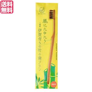 はつらつ堂 しじみん ビッグタイプ 540粒 しじみ 貝殻 カルサイト