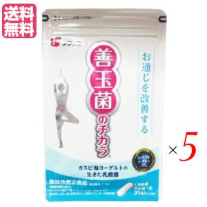 贅沢白海老プレミアム酵素茶漬け 50g ( 10食分入り ) GARNI 富山県産白