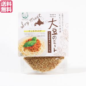 【ポイント+6％！】10/2(金)限定！大豆ミート 国産 ミンチ 北海道産大豆のミート 100g 送料無料