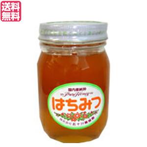 はちみつ 蜂蜜 国産 五十川養蜂園 国産はちみつ 混花 500g ５個 送料無料 はちみつ 蜂蜜 国産 五十川養蜂園 国産はちみつ 混花 500g 送料無料
