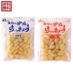 【ポイント最大+5%！】8/11(火)限定！らっきょう らっきょう漬け 国産 ジャフマック 砂丘らっきょう 全２種 送料無料