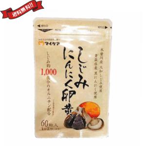 はつらつ堂 しじみん ビッグタイプ 540粒 しじみ 貝殻 カルサイト