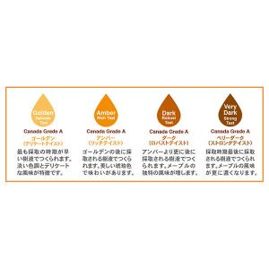メープルシロップ オーガニック 1L オーサワ...の詳細画像5