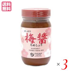 ムソー食品工業 生姜・番茶入り 梅醤 ( 350g )/ 無双本舗 : 爽快
