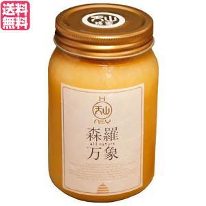 森羅万象 はちみつ 600g 非加熱 完熟 [ 酵素 無添加 ギフト プレゼント