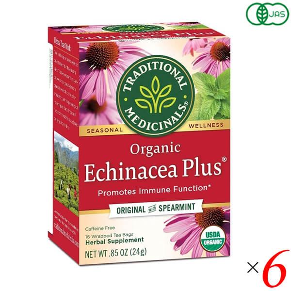 エキネシア ハーブティー お茶 有機エキネシアティー・プラス(ティーバッグ16袋） 6個セットトラデ...
