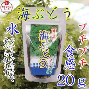 海ぶどう 海ブドウ 20g 沖縄県産 海水 有限会社大幸商...