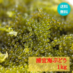 【送料無料】浦宜海ぶどう 1kg