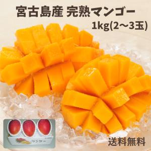 優品 宮古島産 マンゴー 約2kg(4〜6玉) 6月中旬〜7中旬 お中元に