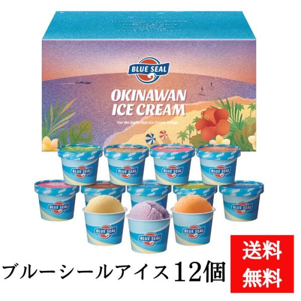 「送料無料」ブルーシールアイスクリームギフト　夏ギフト　冬ギフト　お中元　お歳暮　お取り寄せ　