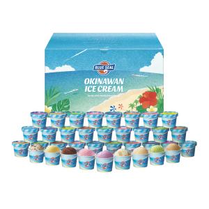送料無料」ブルーシールアイスクリームギフト 18個 夏ギフト 冬ギフト